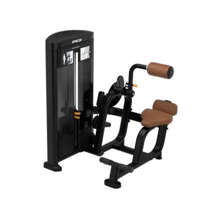 Precor Resolute Back Extension
